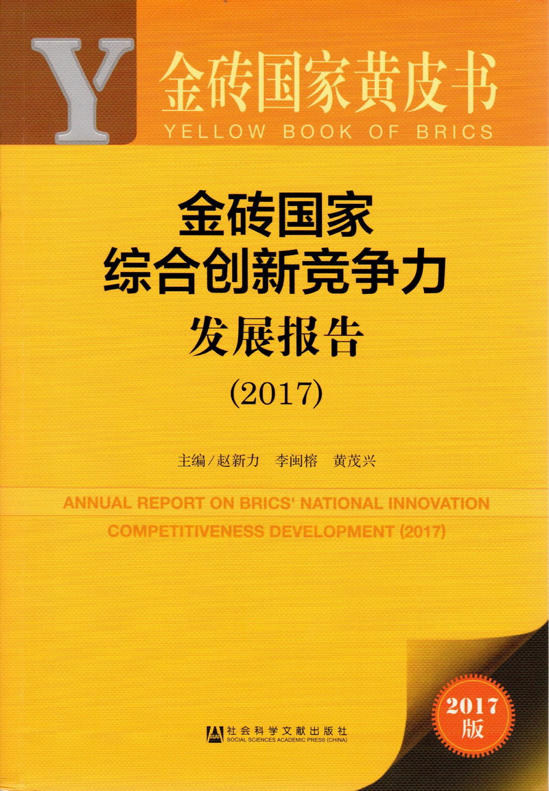 啊啊啊要操哭了视频金砖国家综合创新竞争力发展报告（2017）